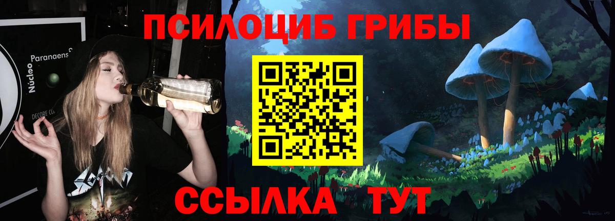 Галлюциногенные грибы GOLDEN TEACHER  Вход с VPN  Кушва 
